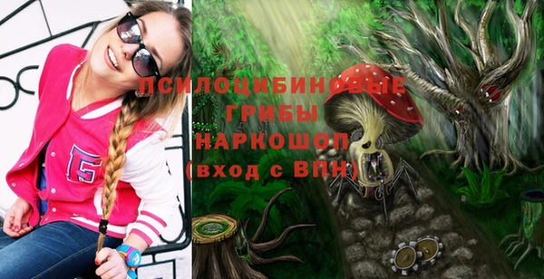 мдпв Новодвинск