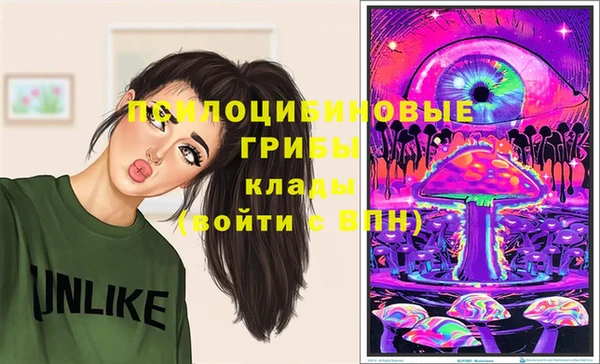 мдпв Новодвинск