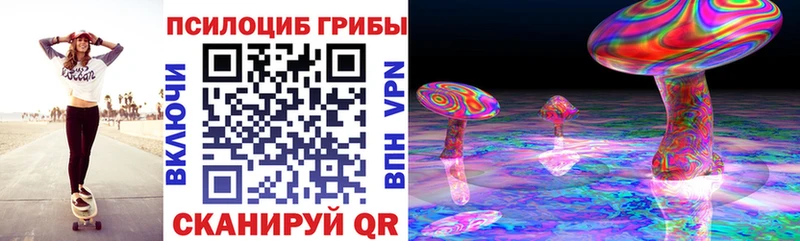 дарнет шоп  Туринск  Галлюциногенные грибы прущие грибы 