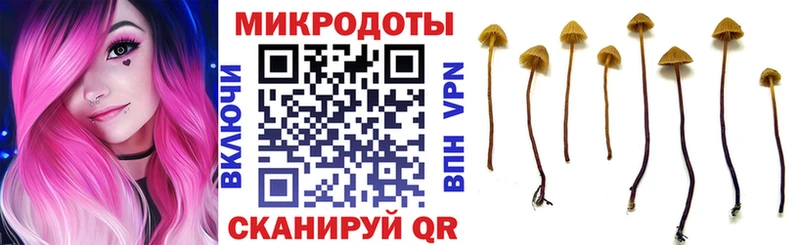 Псилоцибиновые грибы MAGIC MUSHROOMS Туринск